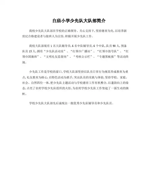 小学少先队大队部简介