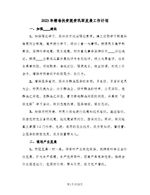 2023年精准扶贫脱贫巩固发展工作计划(2篇)