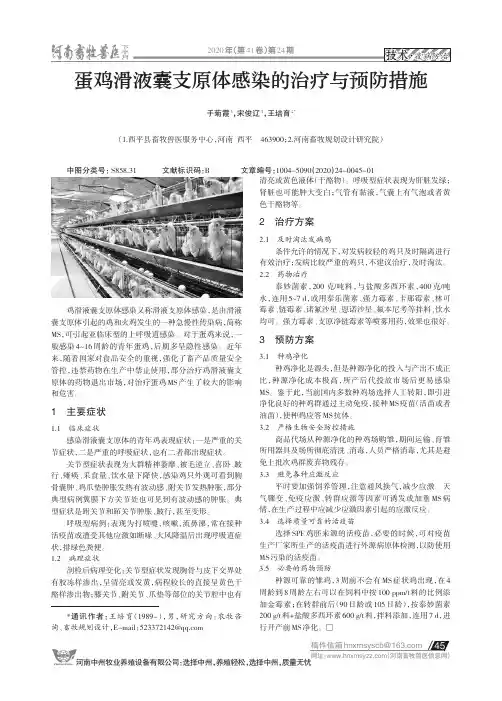 蛋鸡滑液囊支原体感染的治疗与预防措施