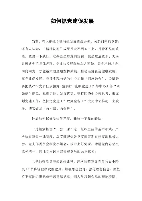 如何抓党建促发展
