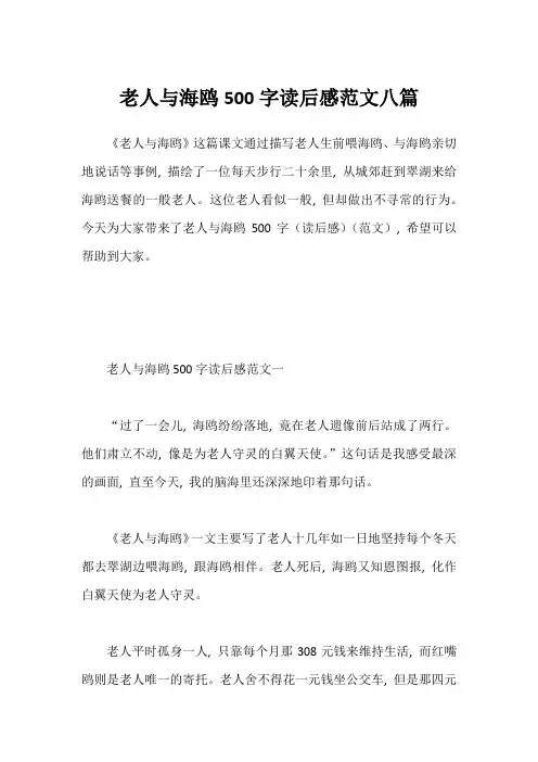 老人与海鸥500字读后感范文八篇