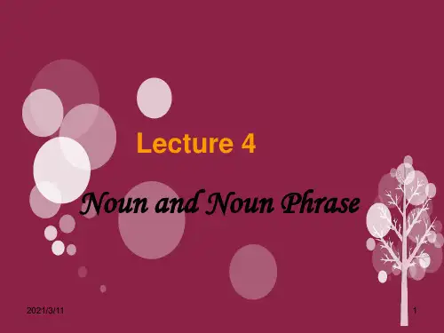 章振邦《新编英语语法》Lecture-4
