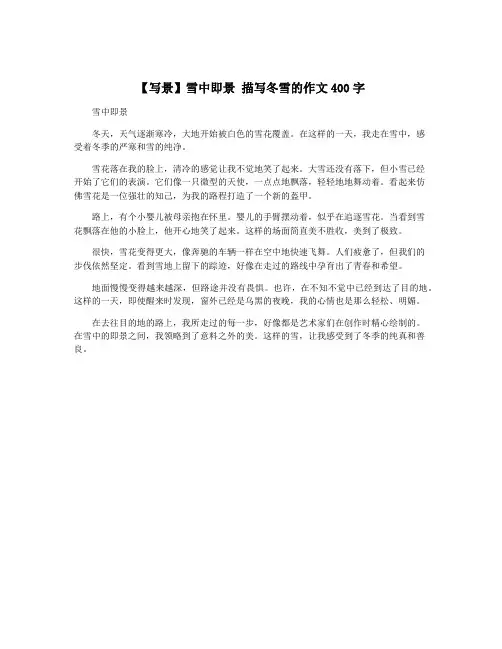 【写景】雪中即景 描写冬雪的作文400字
