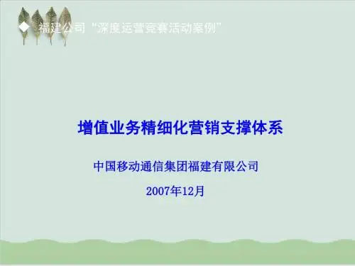 增值业务精细化营销支撑体系案例PPT课件( 49页)