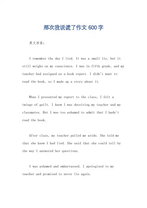 那次我说谎了作文600字