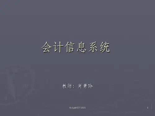 会计信息系统ppt课件