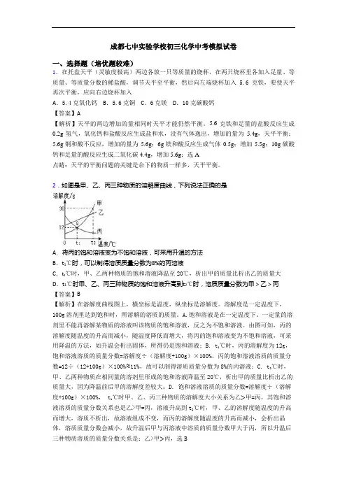 成都七中实验学校初三化学中考模拟试卷