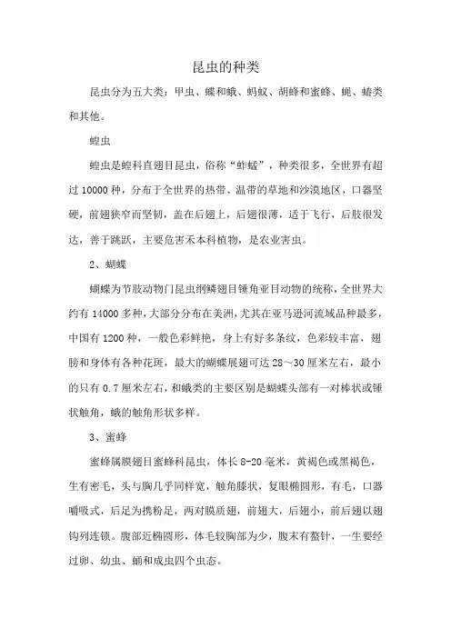 昆虫的种类