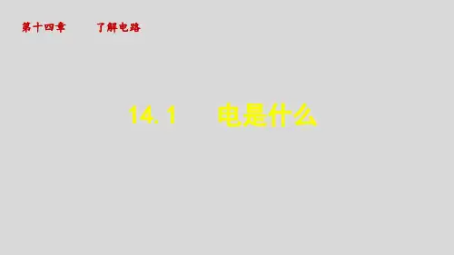 1 《电是什么》课件沪科版九年级物理全一册
