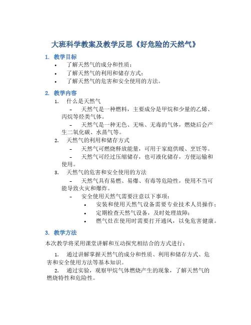 大班科学教案及教学反思《好危险的天然气》