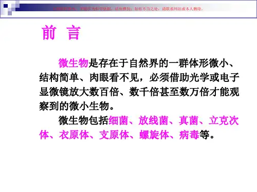 抗微生物药物培训课件