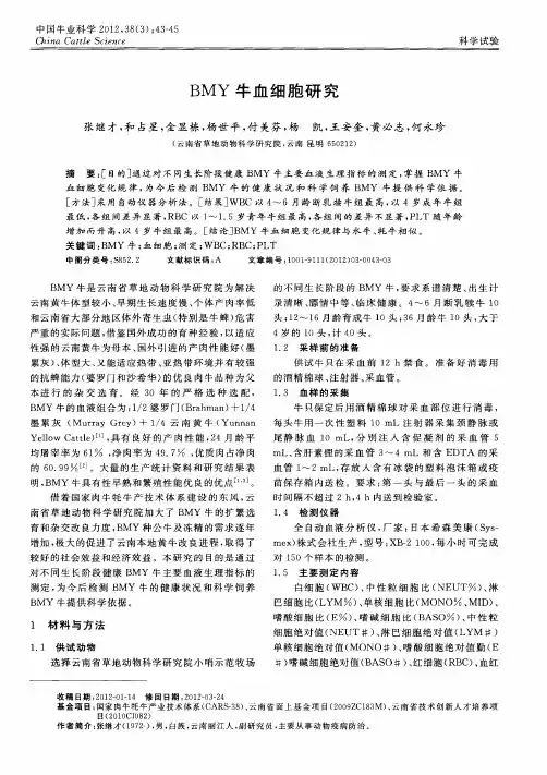 BMY牛血细胞研究