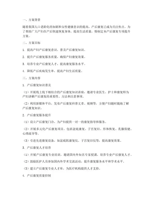 产后康复专项提升方案