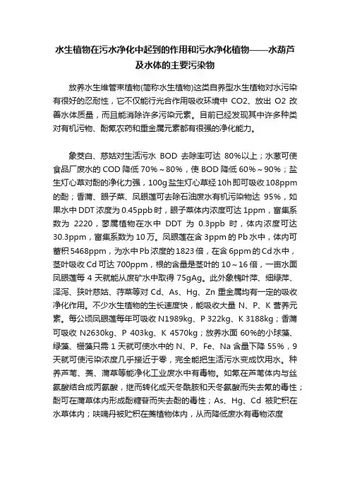 水生植物在污水净化中起到的作用和污水净化植物——水葫芦及水体的主要污染物
