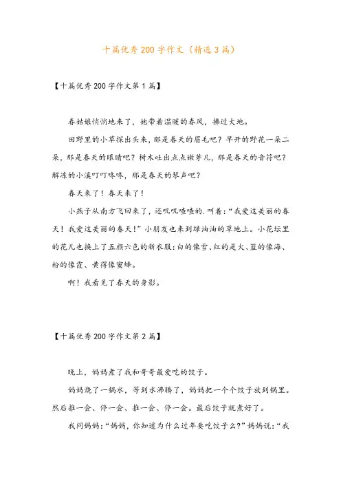十篇优秀200字作文(精选3篇)