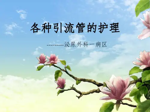 各种引流管的护理