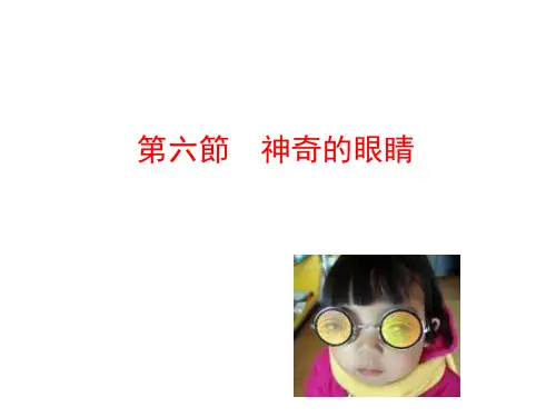 人教版八年级物理课件-神奇的眼睛