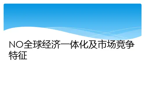 NO全球经济一体化及市场竞争特征