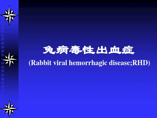 兔瘟