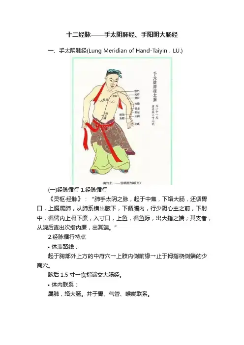 十二经脉——手太阴肺经、手阳明大肠经