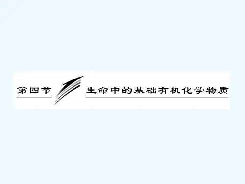 生命中的基础有机化学物质 PPT
