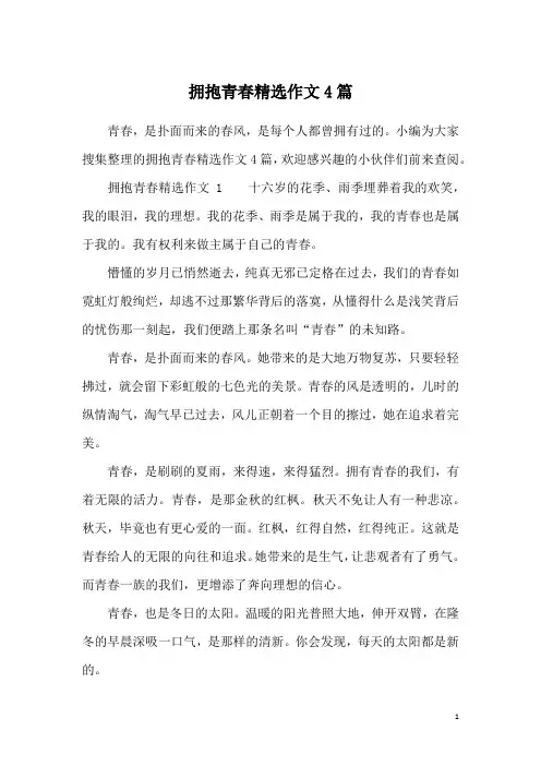 拥抱青春精选作文4篇