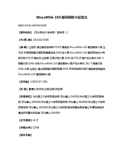 MicroRNA-150基因敲除小鼠鉴定