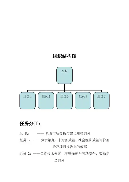 墙体彩绘的可行性分析研究报告