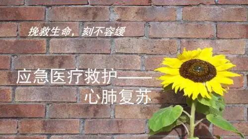 心肺复苏的操作