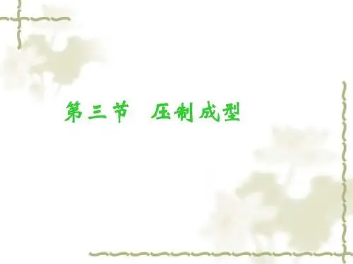 第六章-压制成型