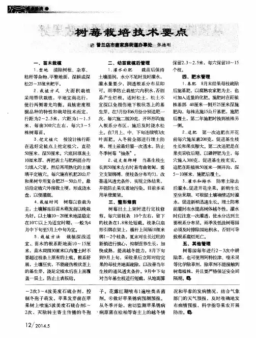 树莓栽培技术要点