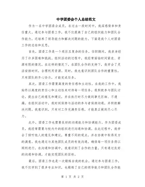 中学团委会个人总结范文