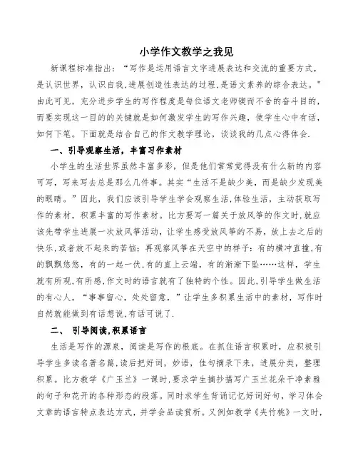 小学作文教学之我见