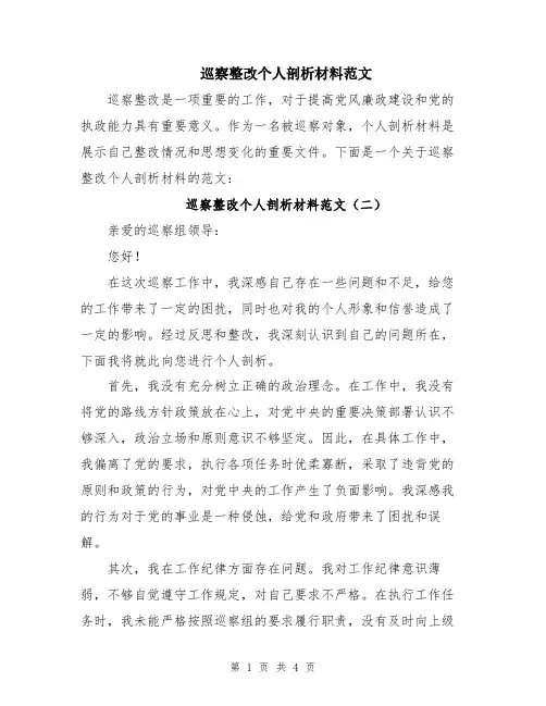 巡察整改个人剖析材料范文