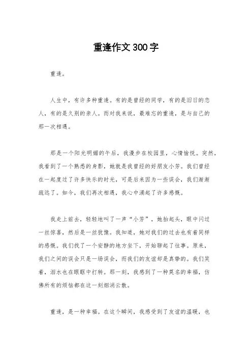 重逢作文300字