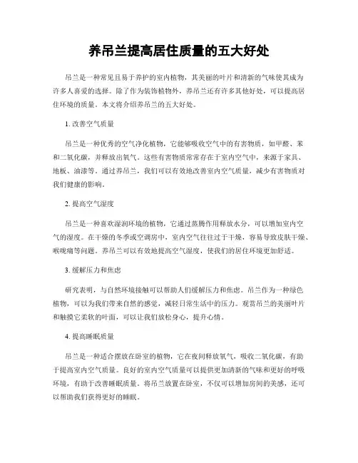 养吊兰提高居住质量的五大好处