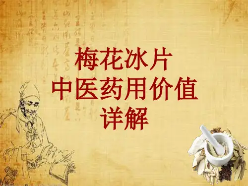中药学_梅花冰片_药材详解课件模板