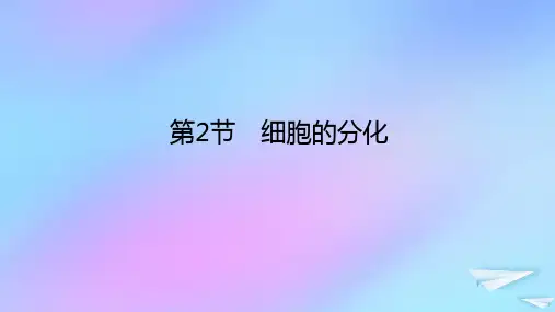 2023新教材高中生物第6章细胞的生命历程第2节细胞的分化课件新人教版必修1