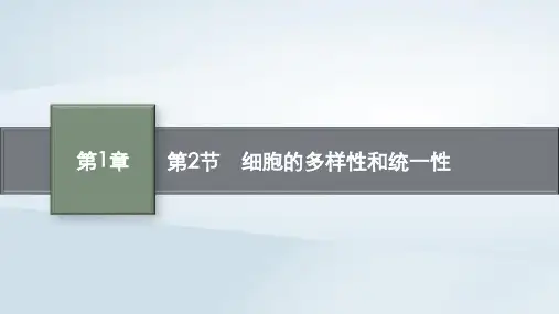 高中生物第1章走近细胞第2节细胞的多样性和统一性课件新人教版必修1