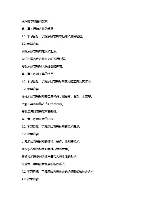 原始的农耕生活教案