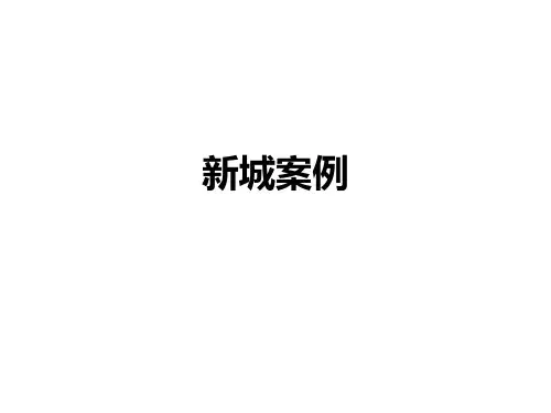 国外新城建设案例分析