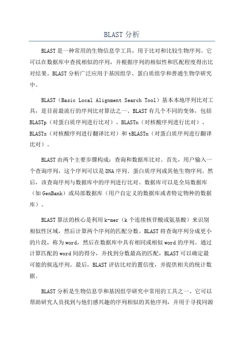 BLAST分析