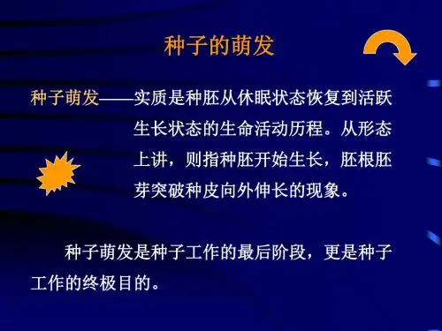 种子的萌发主要课件.ppt