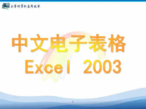 中文电子表格 Excel 2003