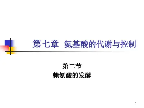 氨基酸的代谢与控制2