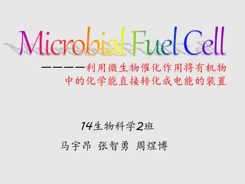 微生物电池(改)