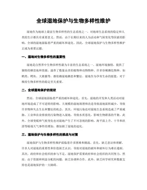全球湿地保护与生物多样性维护
