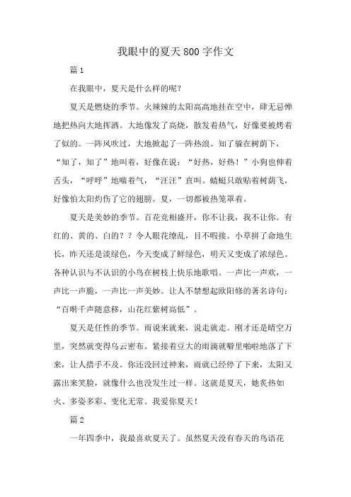 我眼中的夏天800字作文