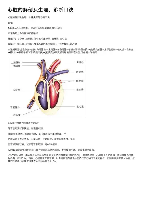 心脏的解剖及生理、诊断口诀