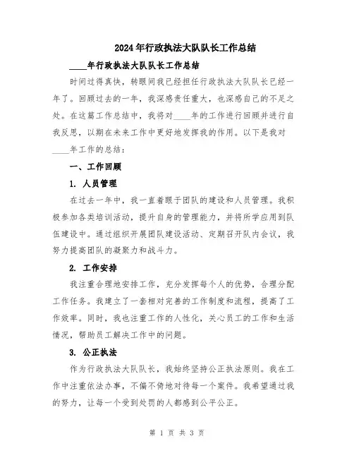 2024年行政执法大队队长工作总结